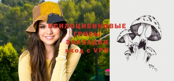 стаф Алексеевка